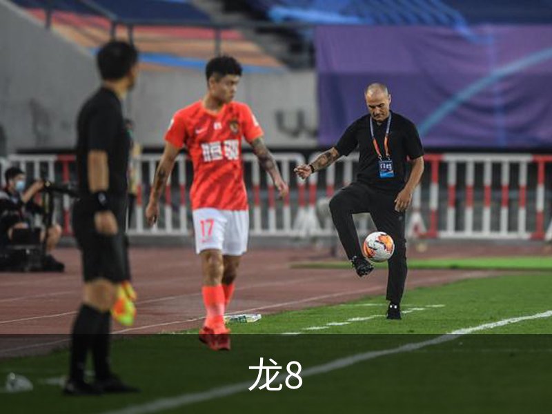 龙8简介